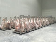 1000平牛肉冷藏庫造價多少錢，低溫凍肉冷庫建造